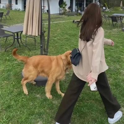 高个子